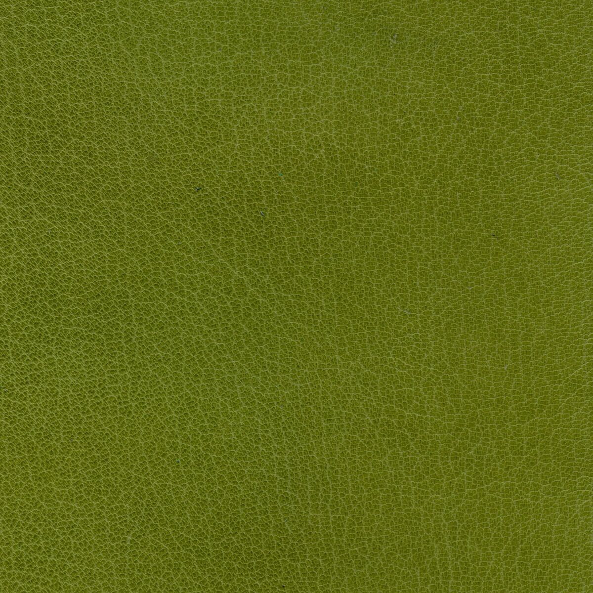 Goatskin Thumb Leather - Image 5