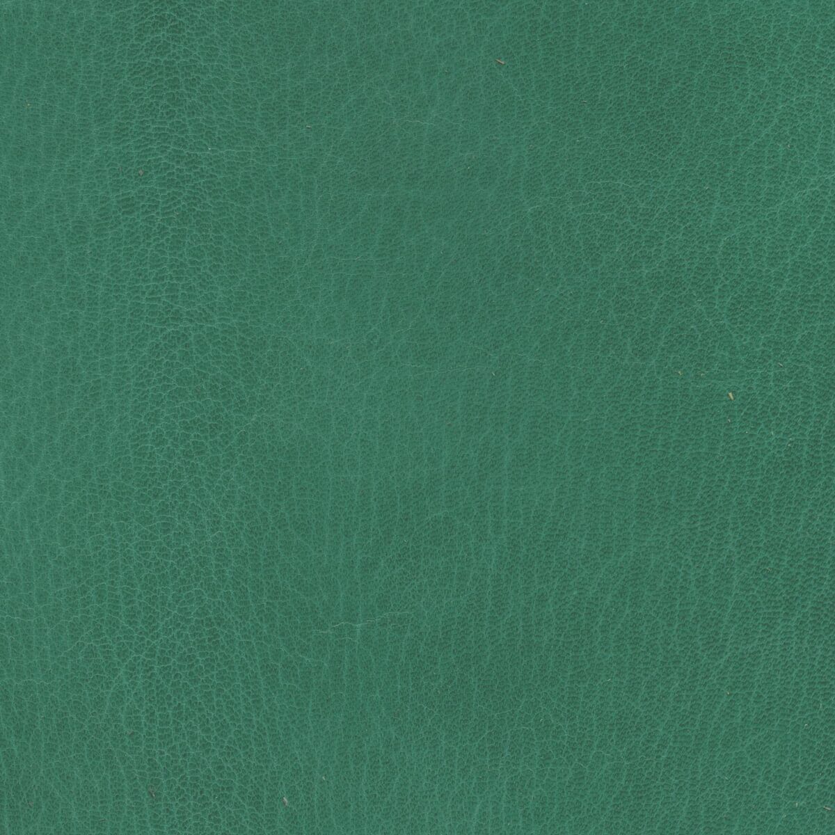 Goatskin Thumb Leather - Image 7