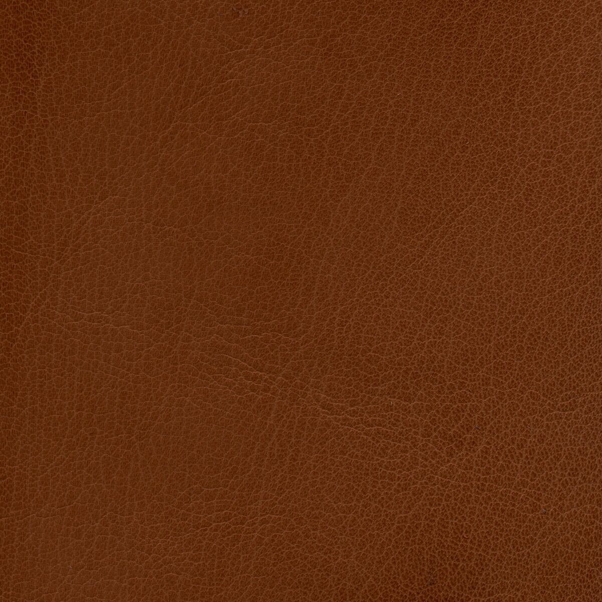 Goatskin Thumb Leather - Image 14